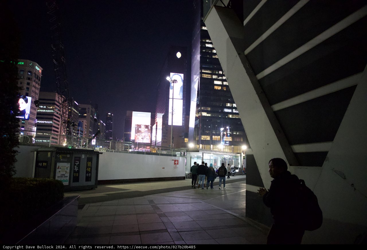 Nocturnal Wanderer in the Urban Jungle