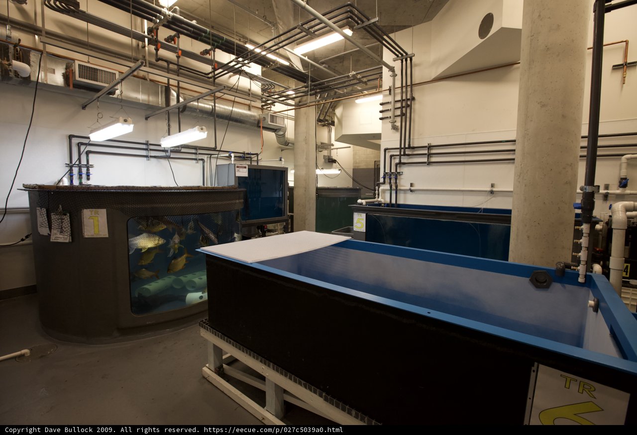 The Industrial Aquarium