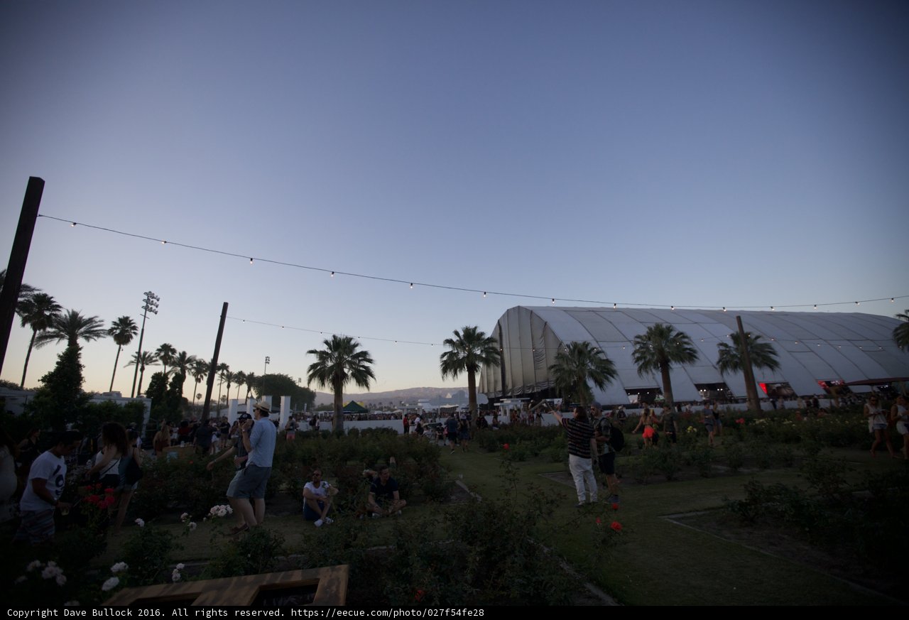 Festival-goers Enjoying the Greenery