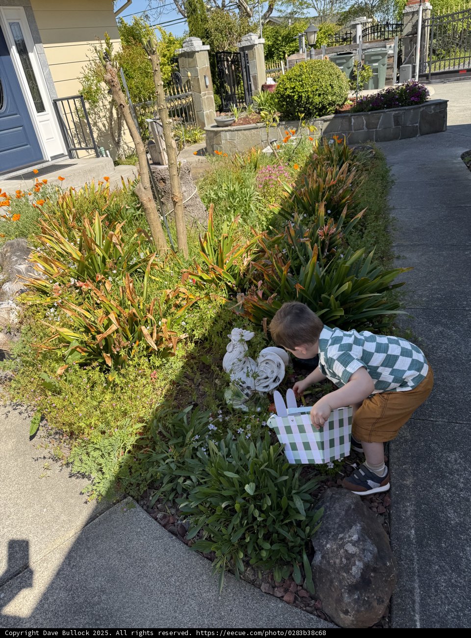 Garden Adventures in Sebastopol