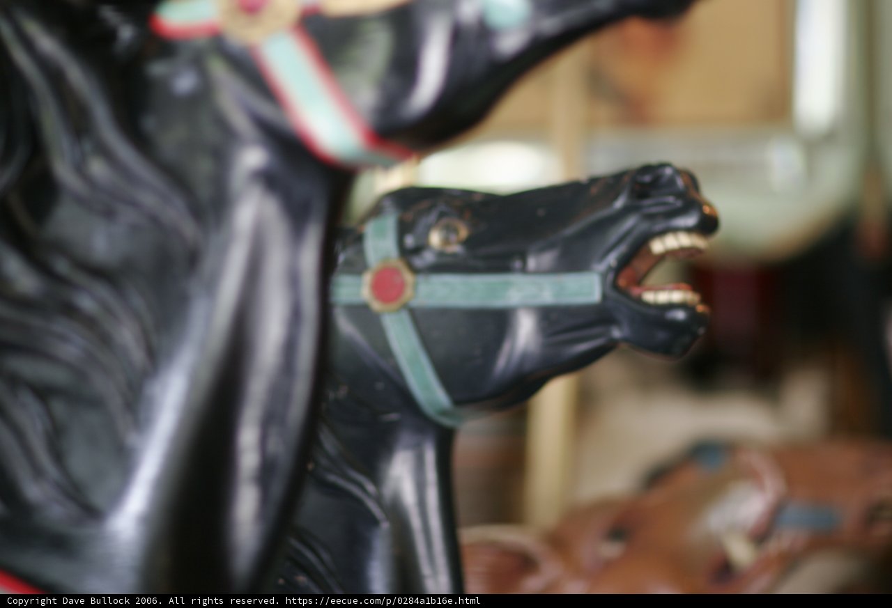 A Carousel Ride with Fun Horses