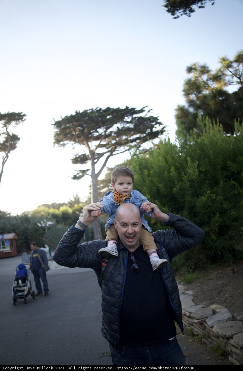 Unforgettable Moments: A Day at the Zoo