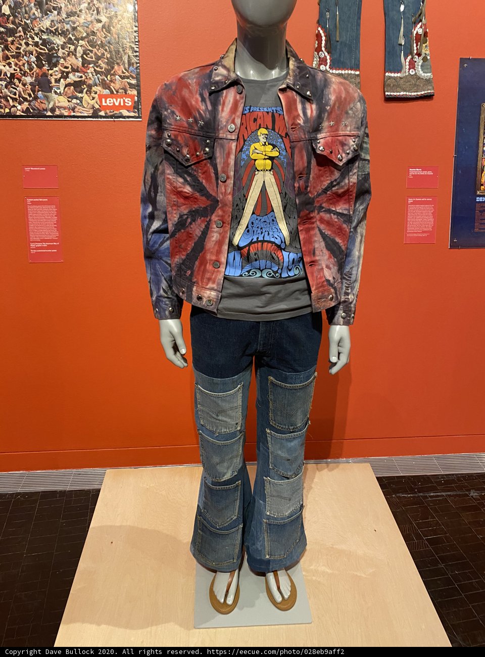 Fashion on Display