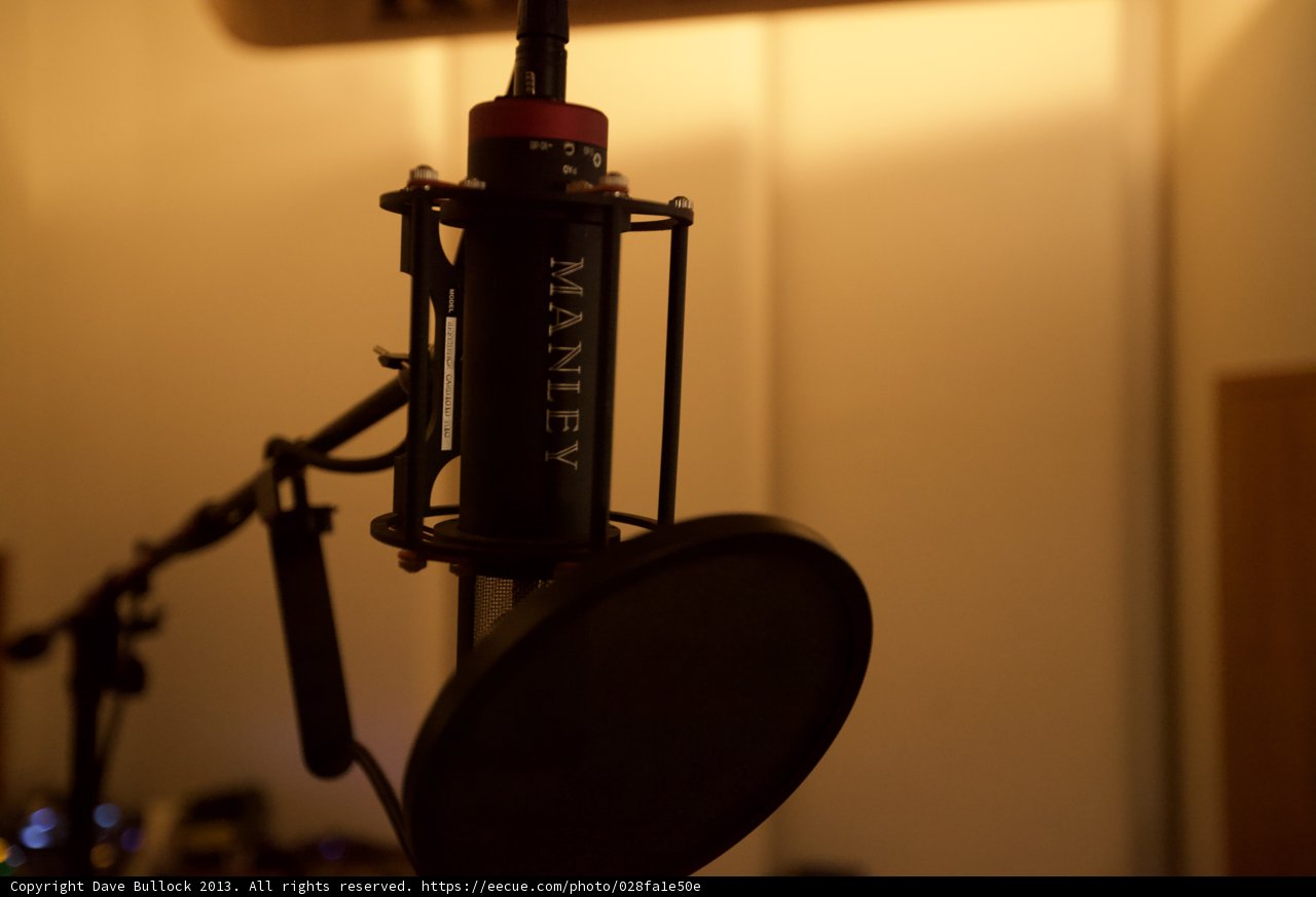 The Voice Within