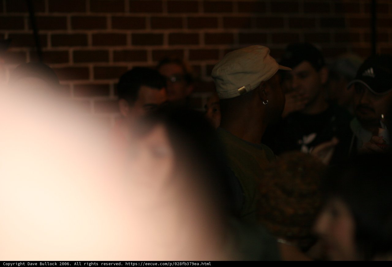 Blurred Audience at a Club