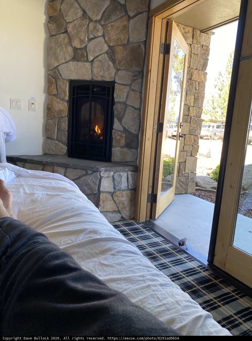 Cozy Afternoon by the Hearth