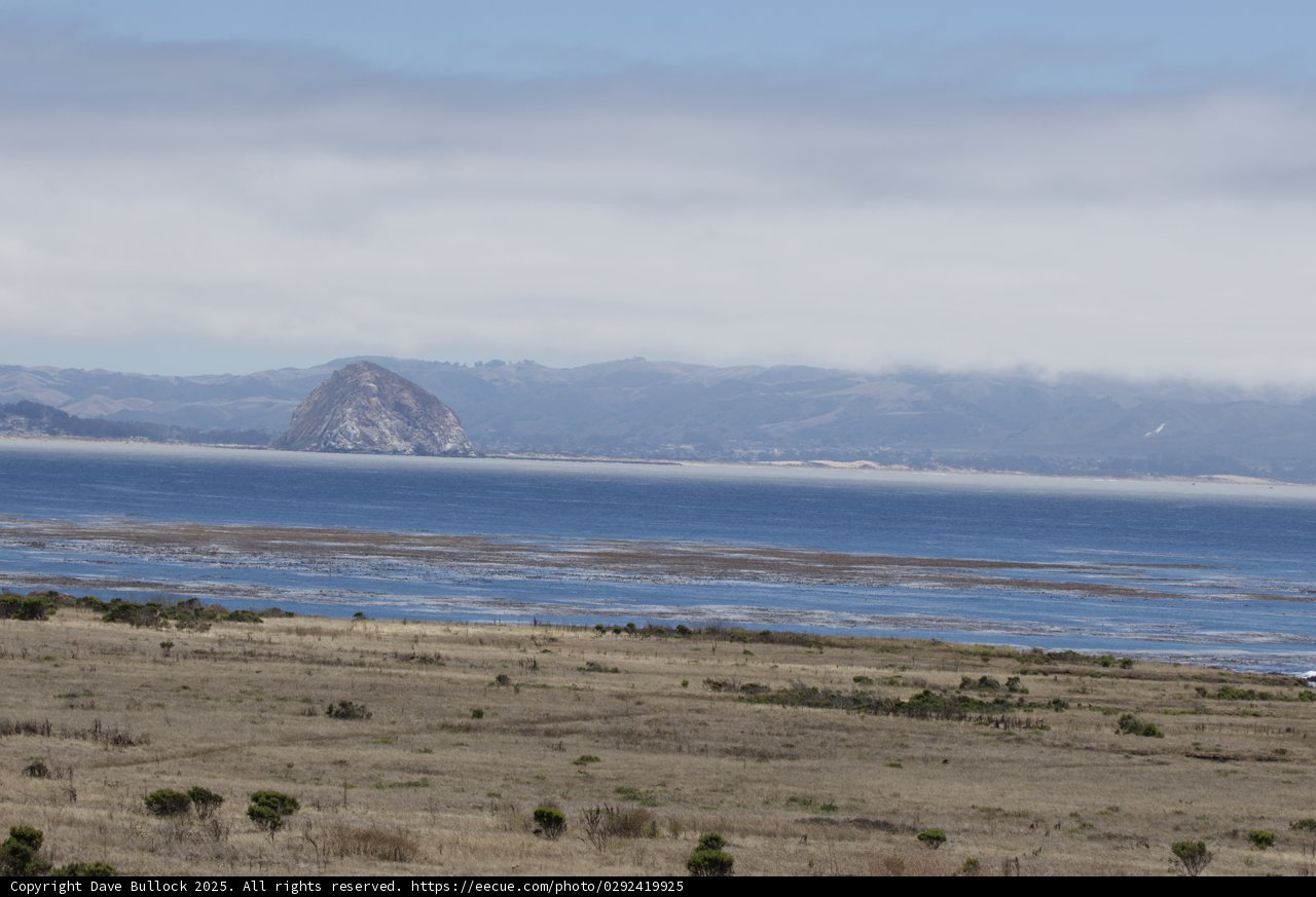 Tranquil Coastline at Cayucos