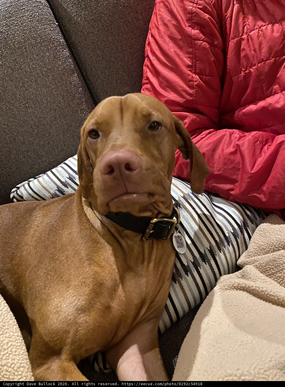 Relaxing on the Couch