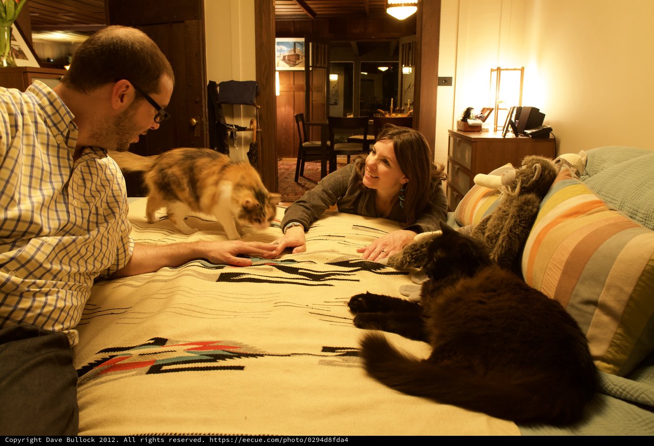 Couple Relaxing on Bed with Two Cats
