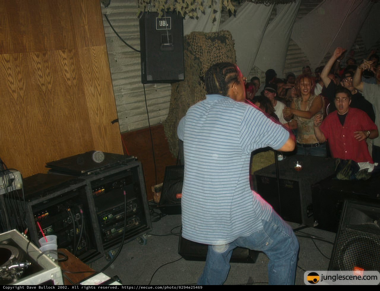 Musical Performance on Stage