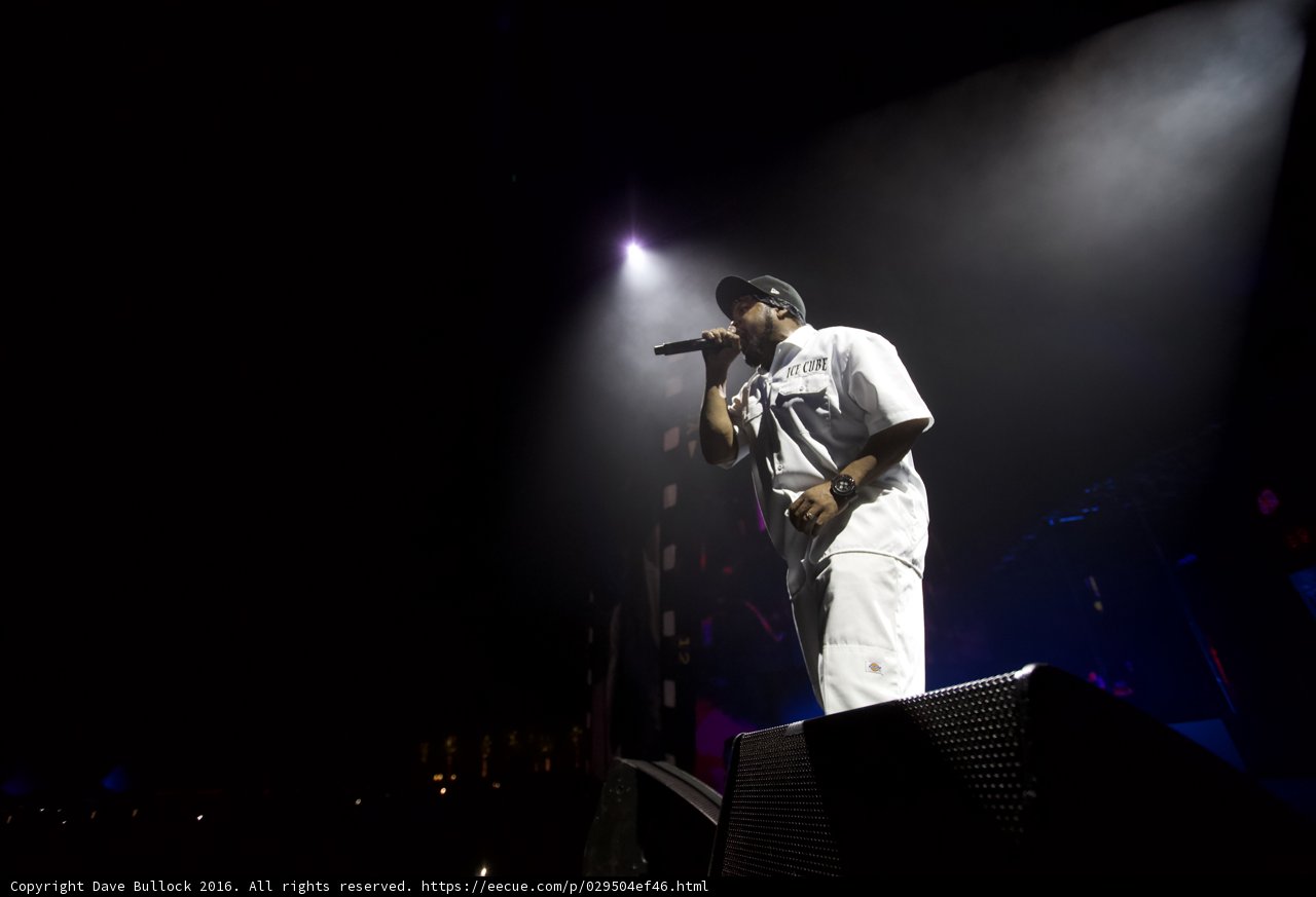 Man on Stage at Coachella