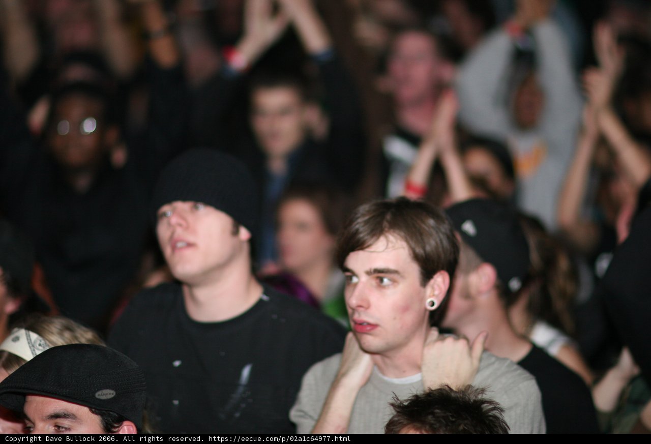 Crowd Excitement at Night Club Concert