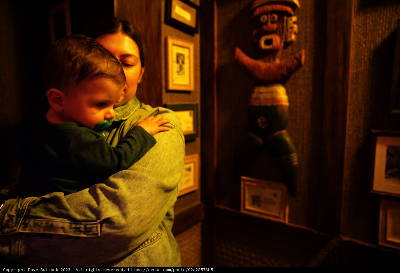 Cherished Moments at Disneyland, 2023