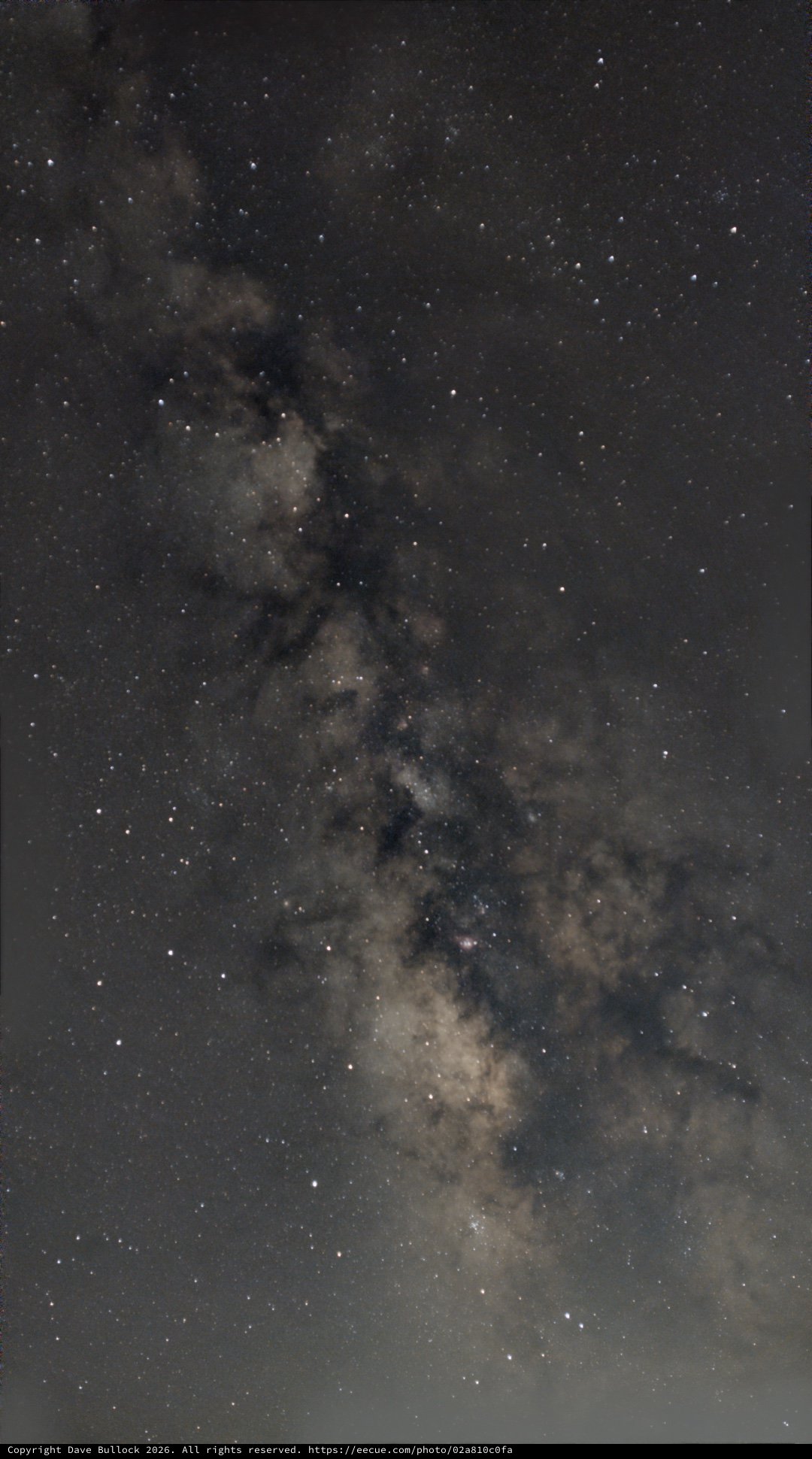 Milky Way Star Clouds Rising Through the Summer Sky