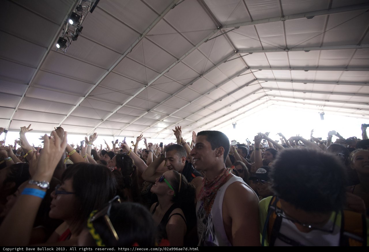 Music Fans Go Wild at Coachella Music Festival