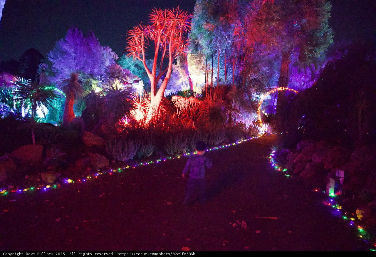 Enchanted Nights at Garden of D'Lights