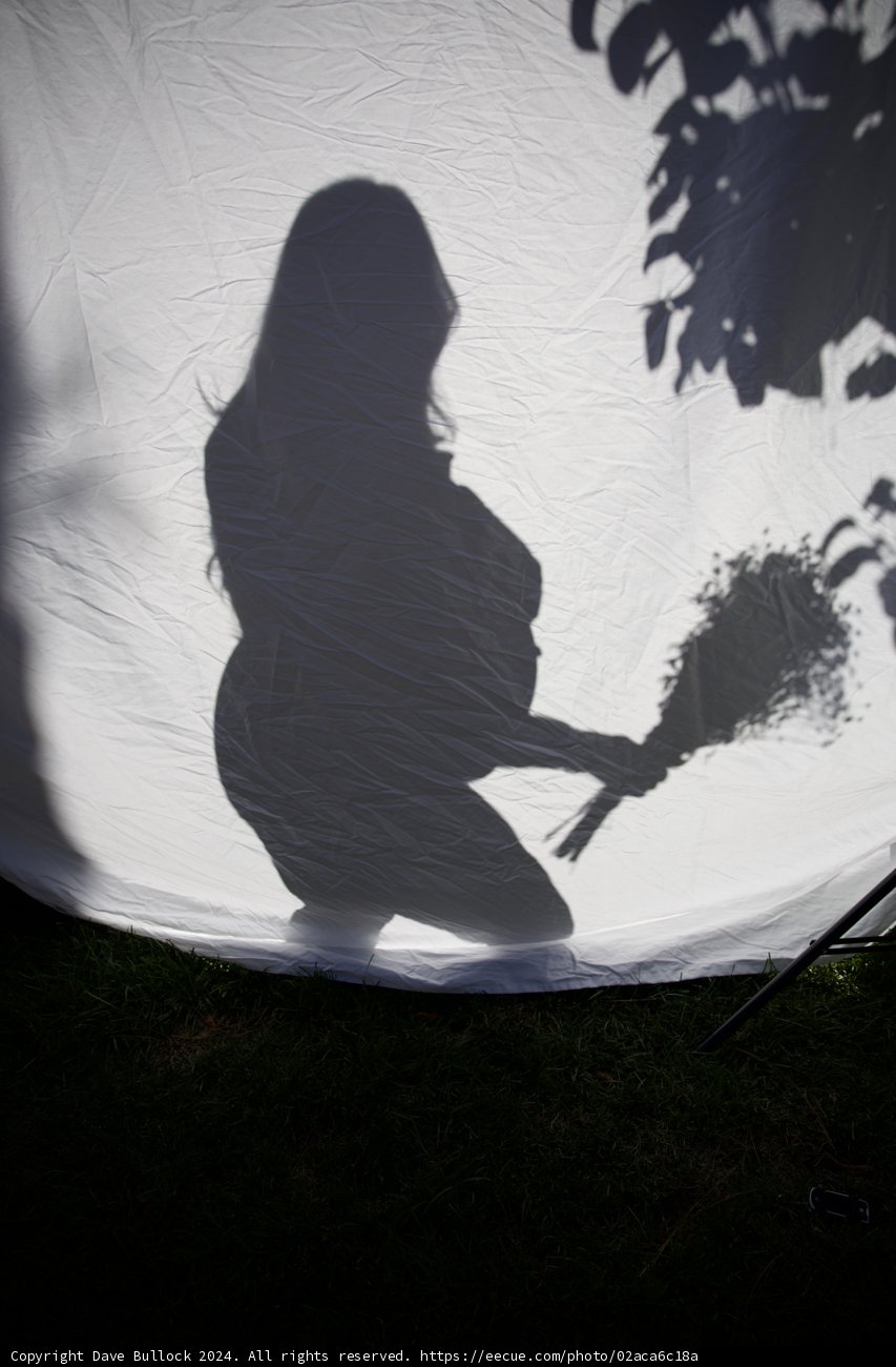 Anticipating Leland: A Silhouette of New Life