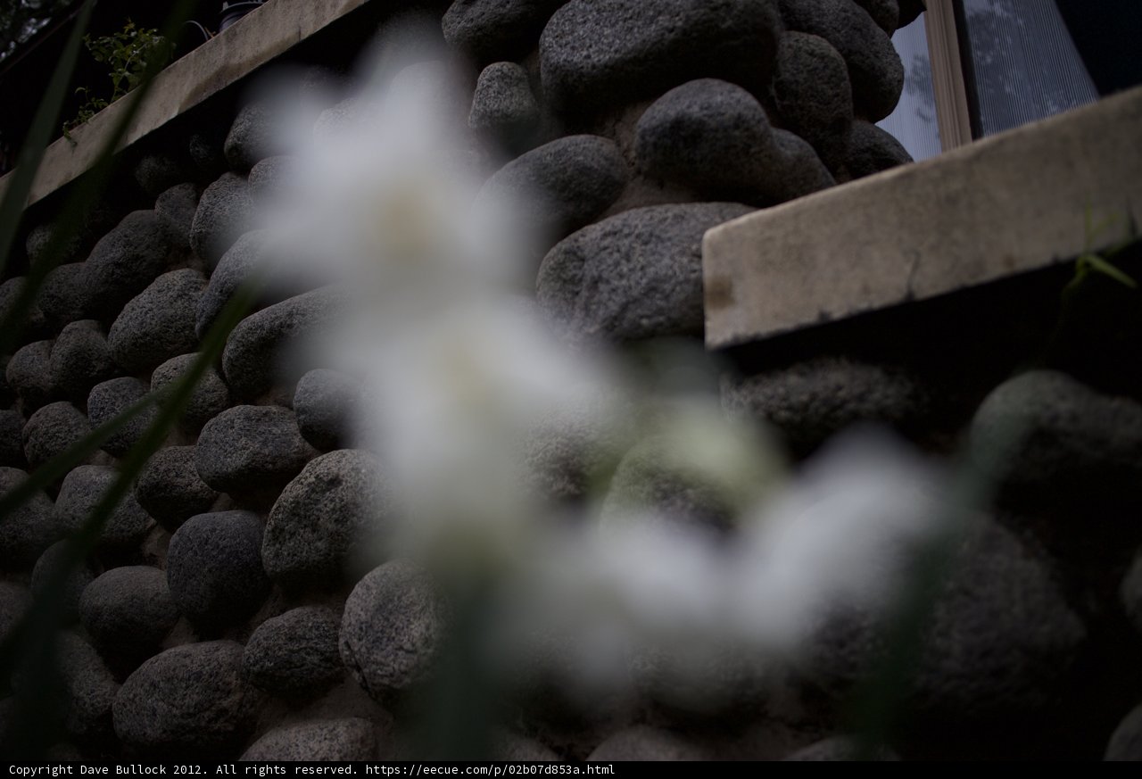 Serenity in Stone