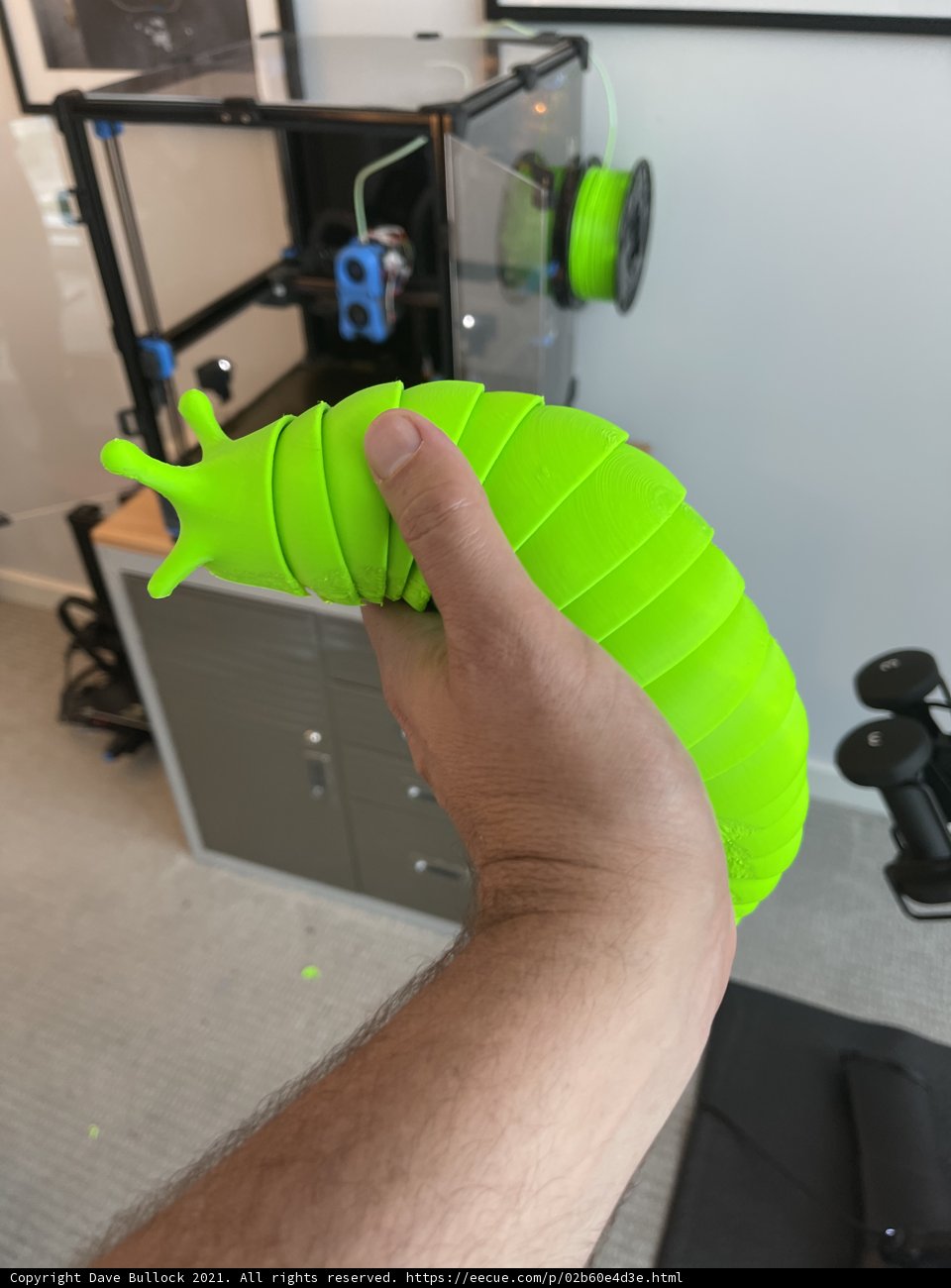 Green Plastic Worm and Computer