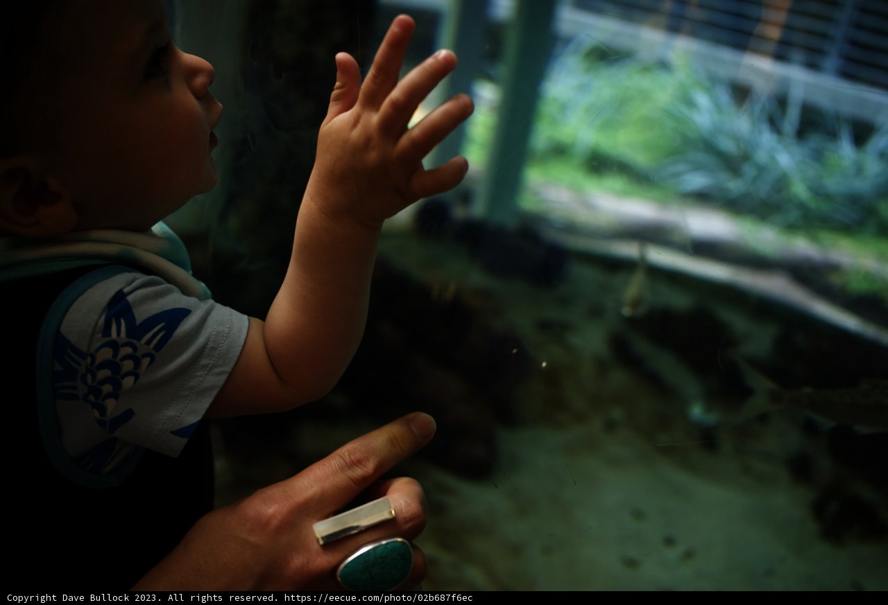 Fascination from Under the Sea