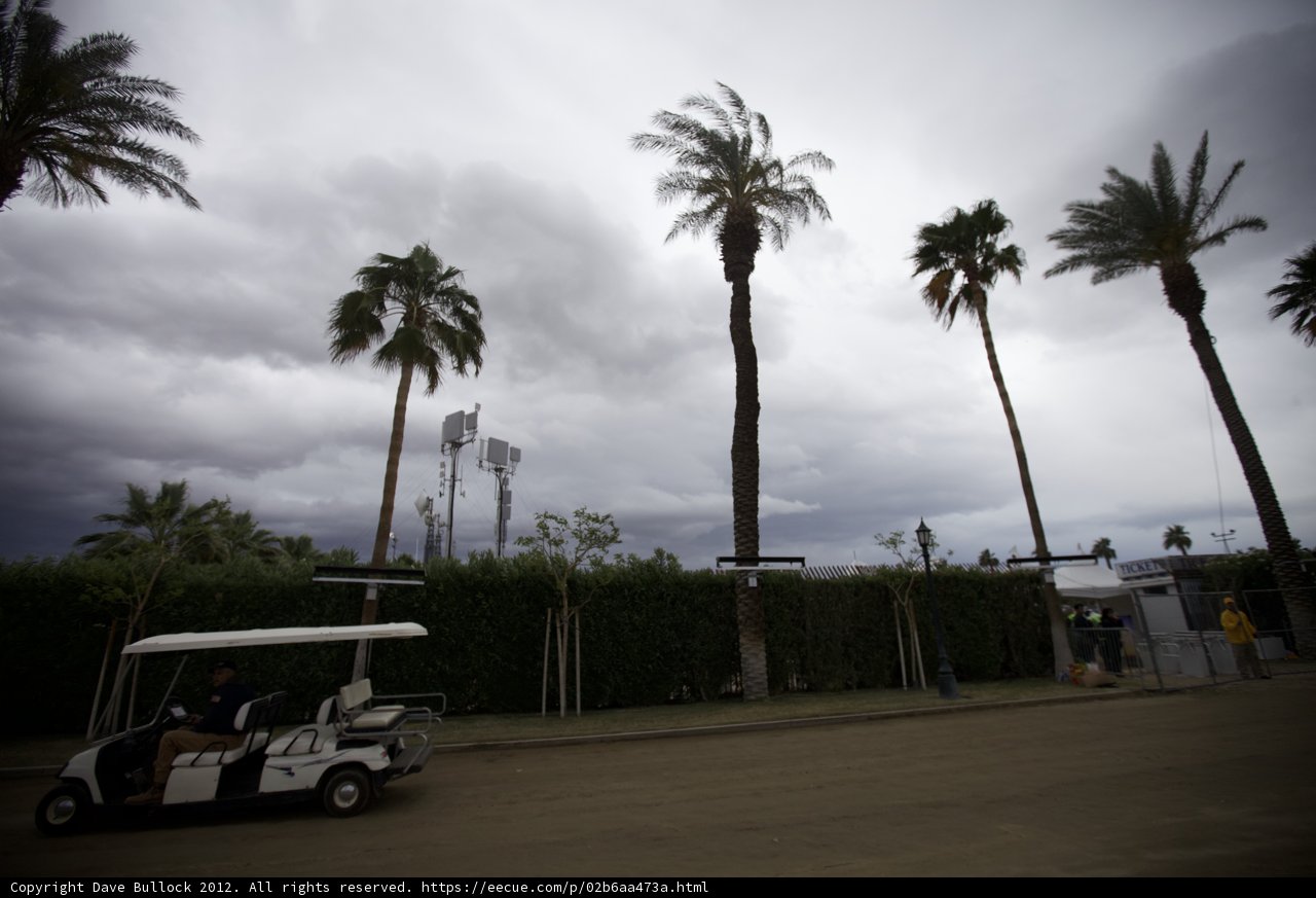 Palm Trees and Golf Carts