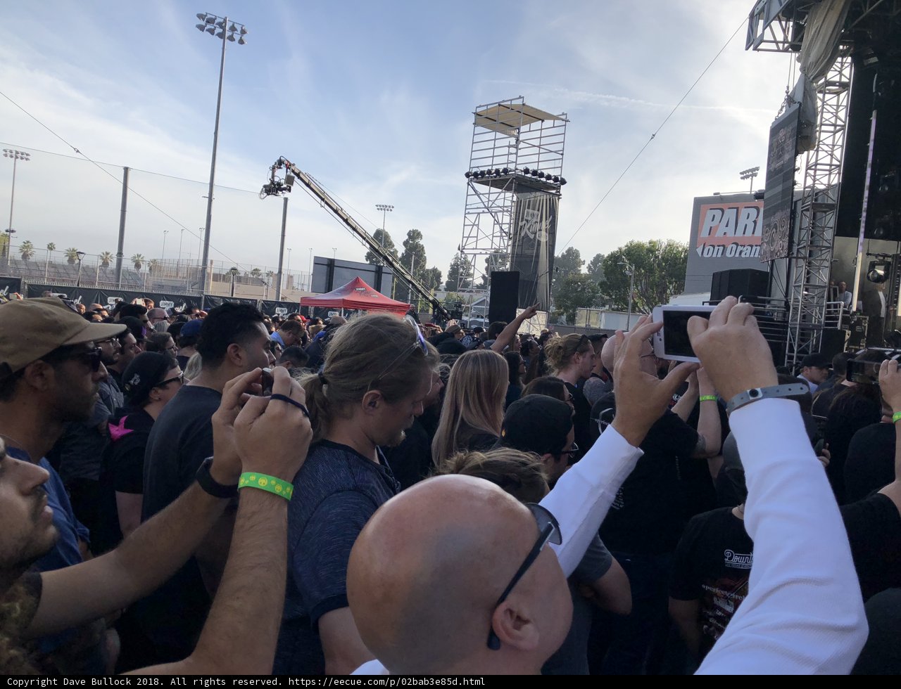 Snapshots in the Crowd