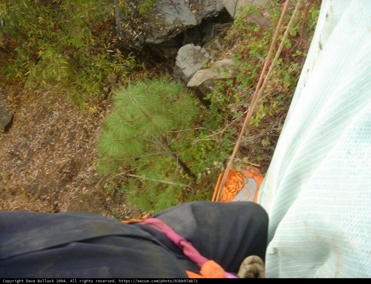 Highwire Photographer