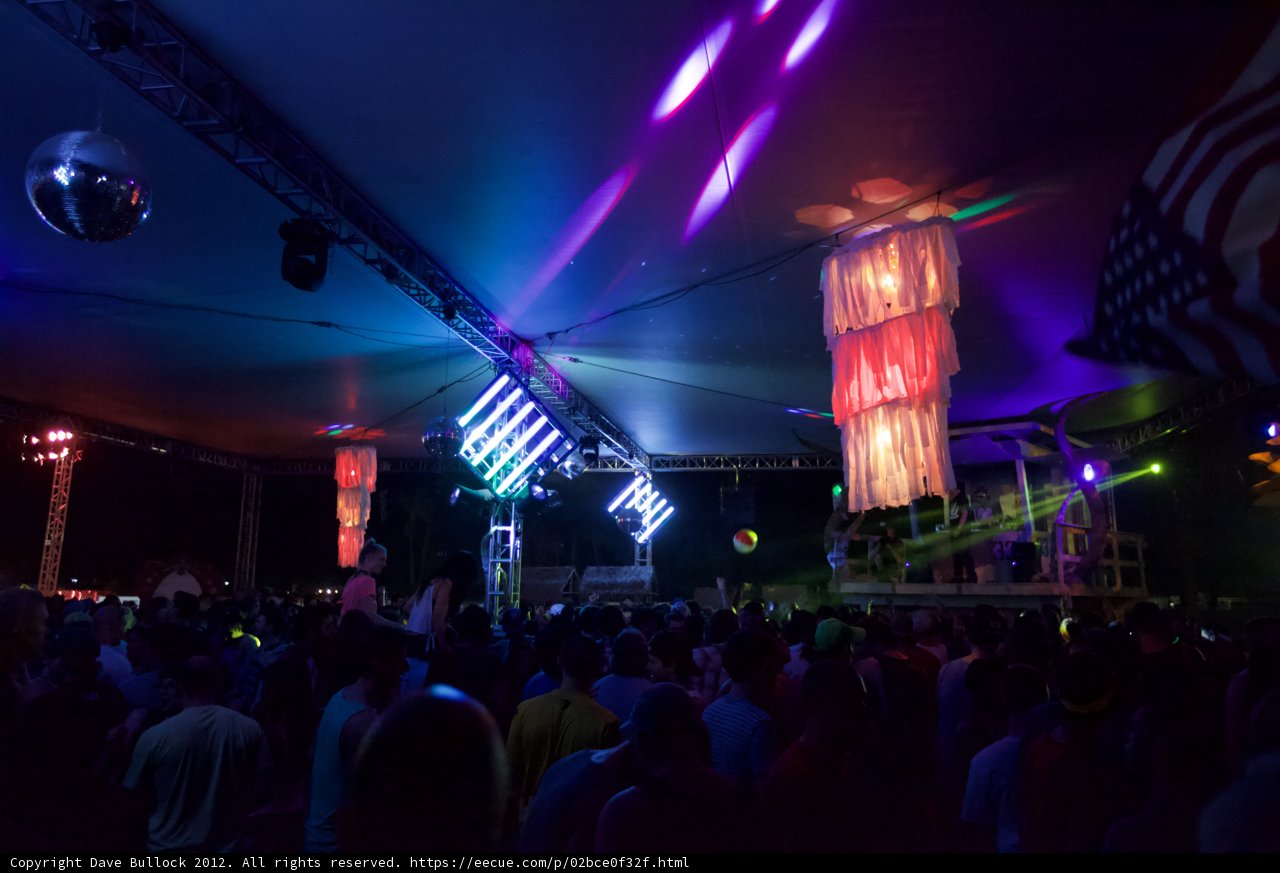 Spotlight on the Night Club Crowd
