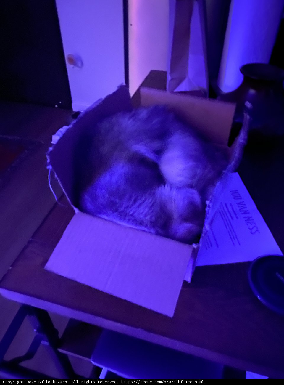 Boxed In Snooze