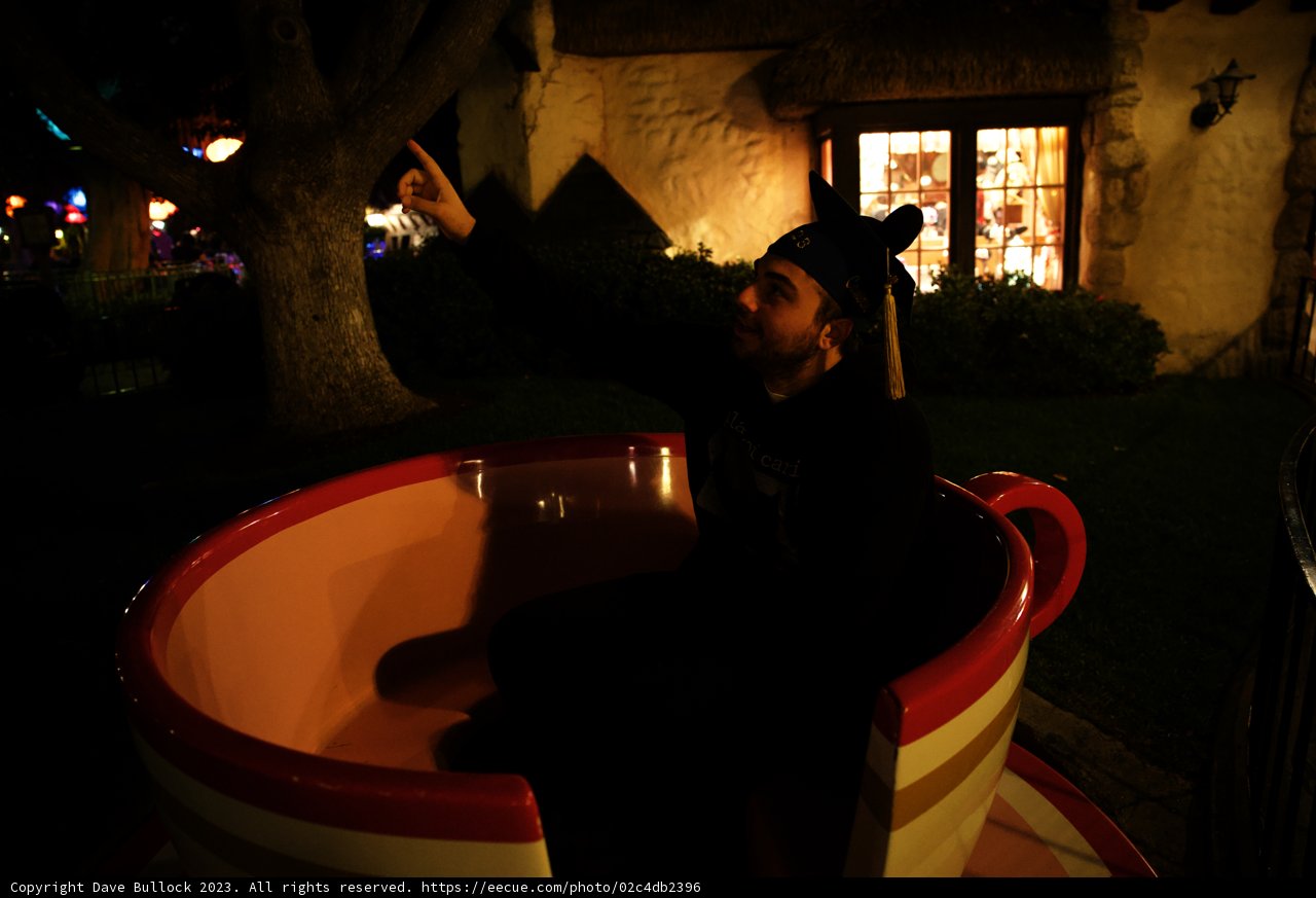 Magical Teacup Adventure