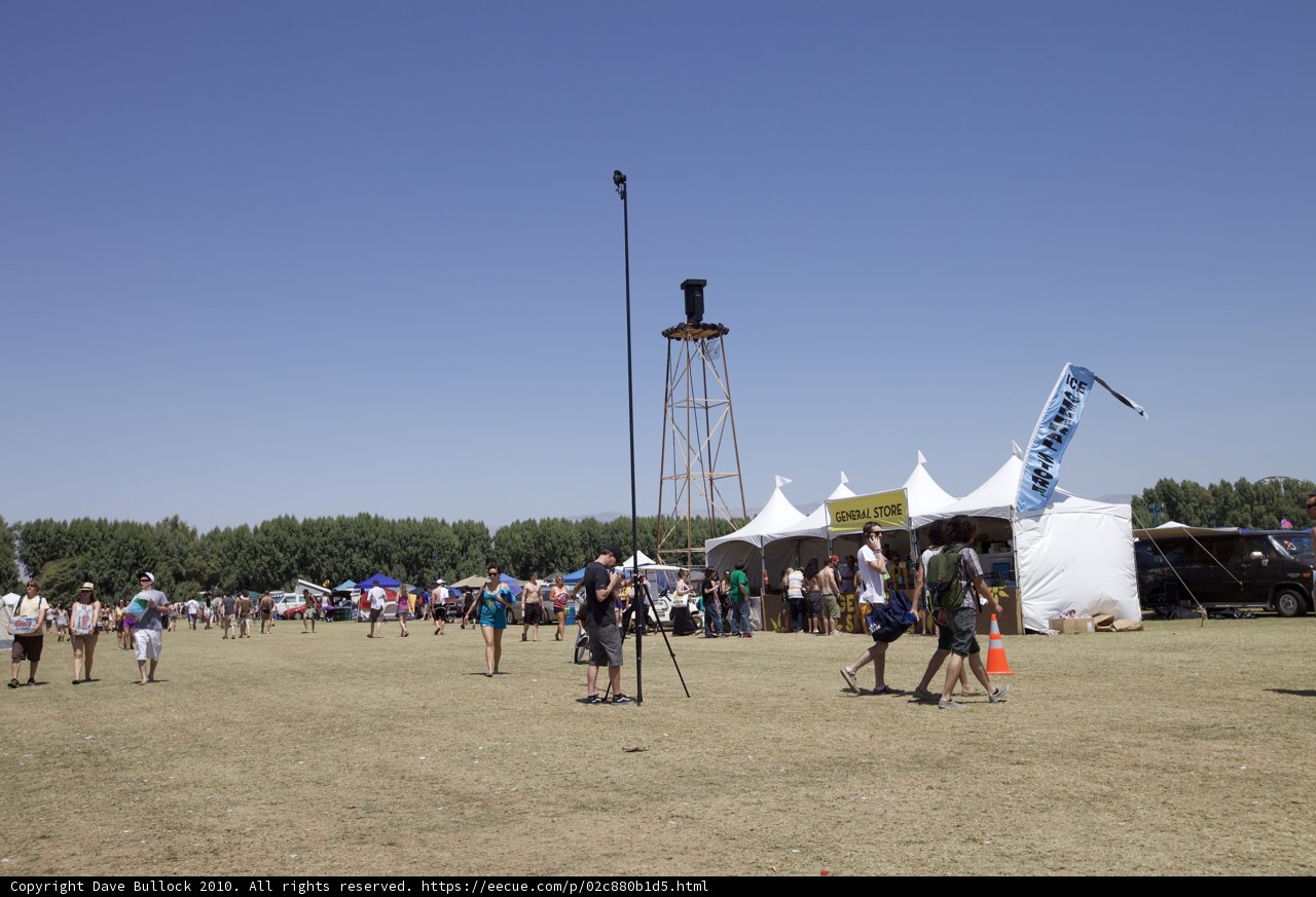 Field of Festivities