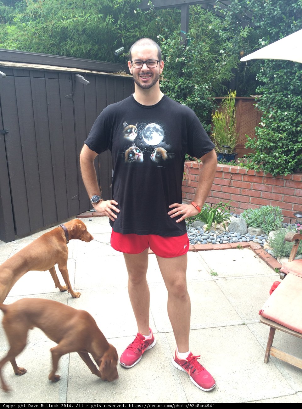 Man and His Canine Companions