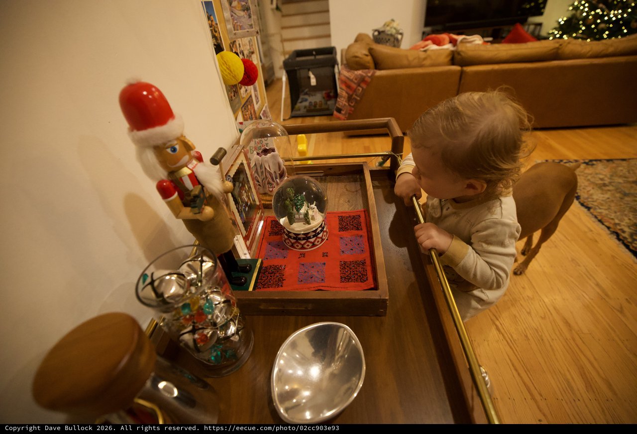 Child Admiring Christmas Decorations at Home