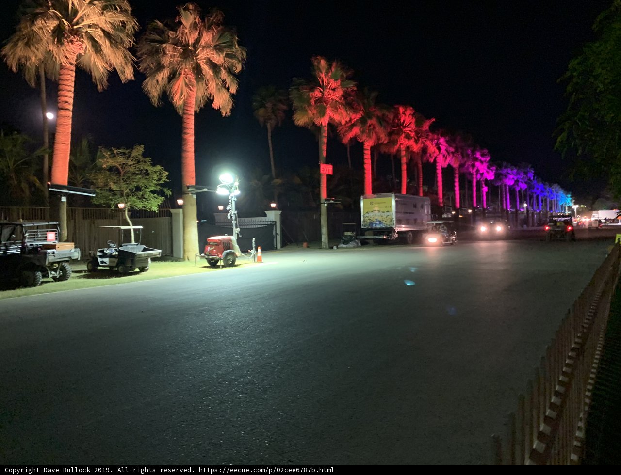 Illuminated Palm Trees Light Up the Night in Indio