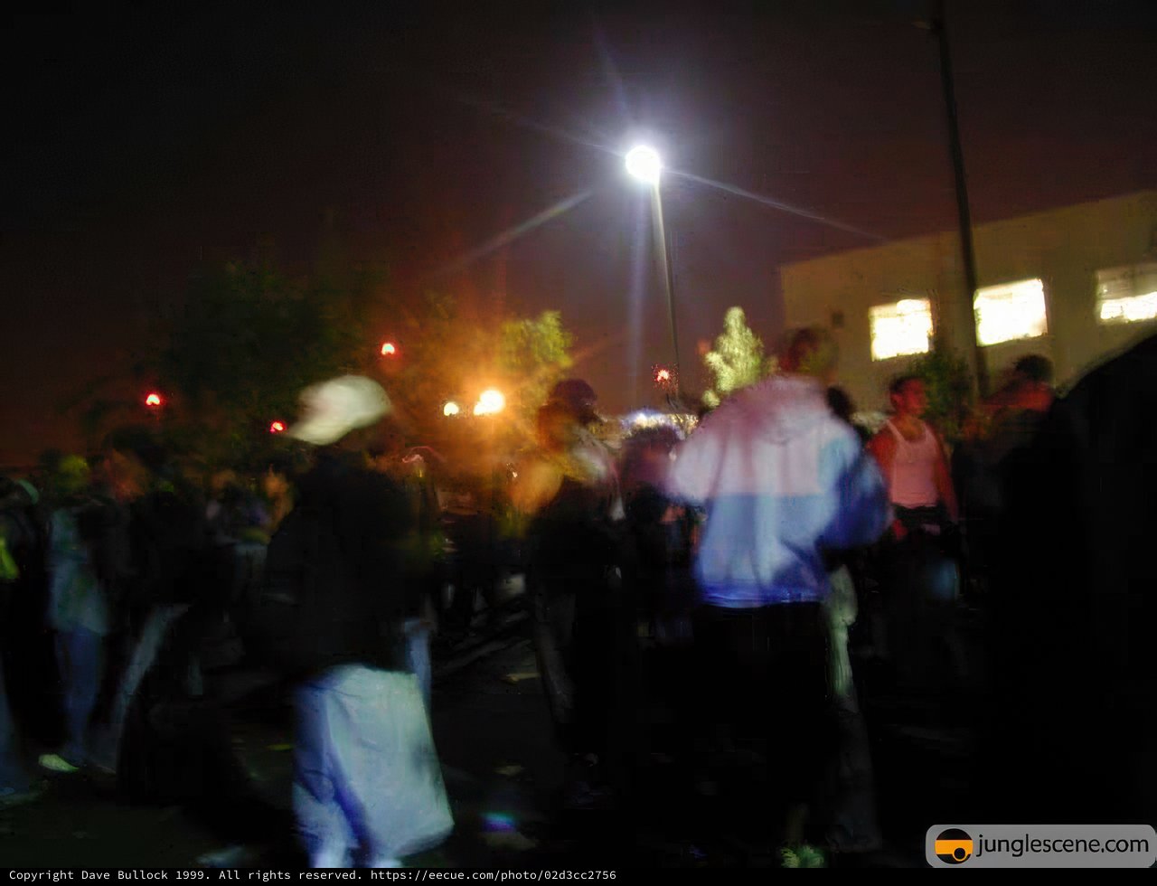 Nighttime Gathering