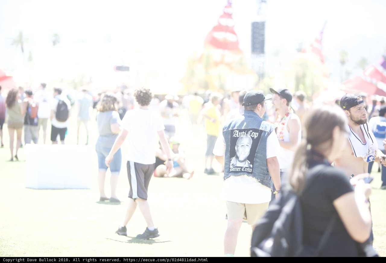 The Coachella Crowd
