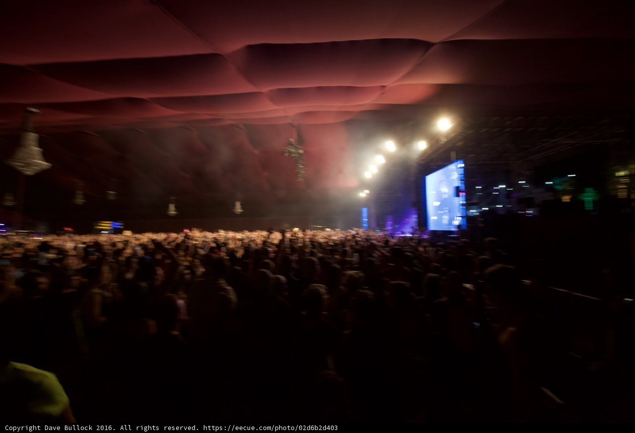 Bright Lights, Big Crowd
