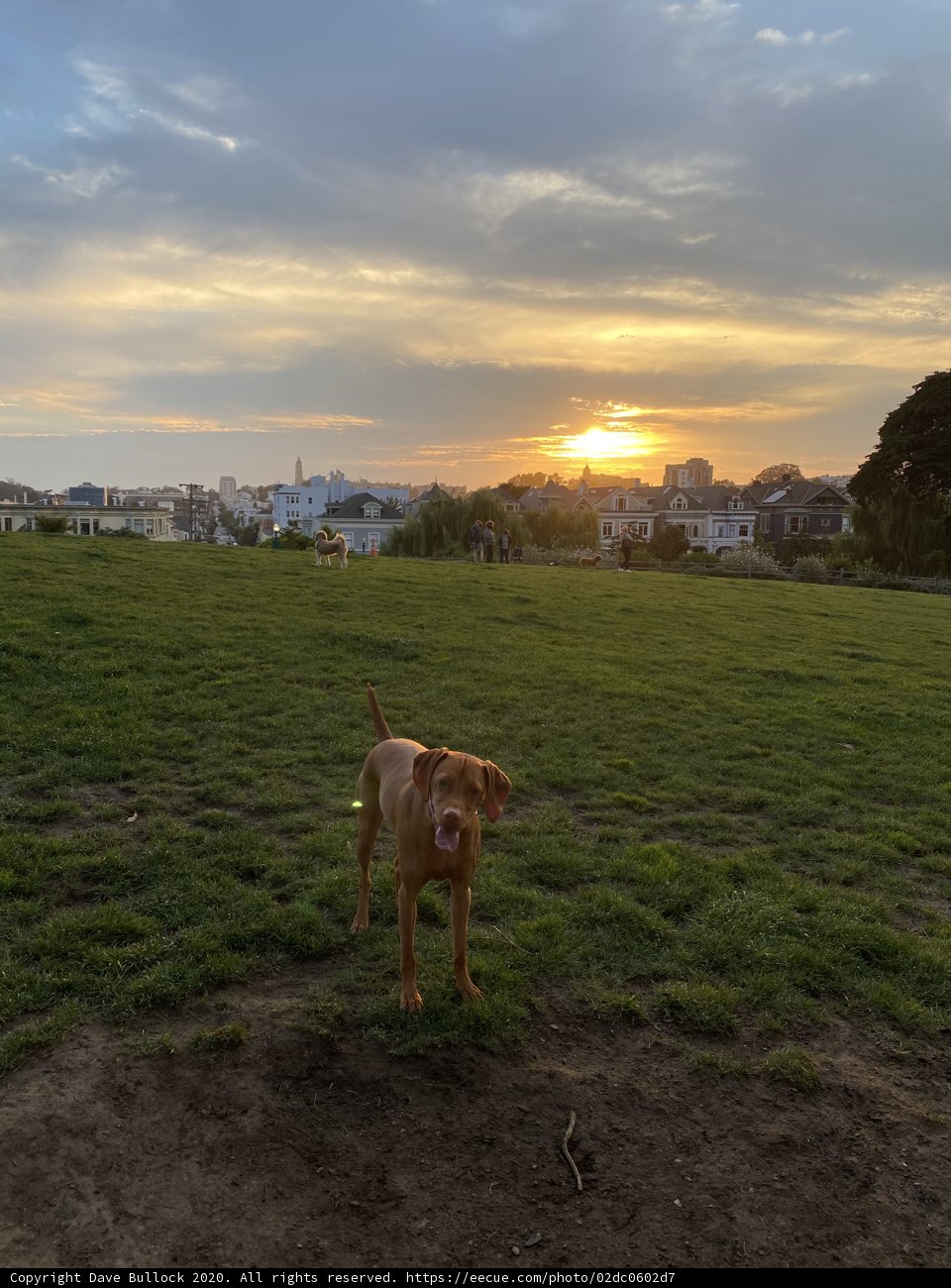 Sunset Serenade