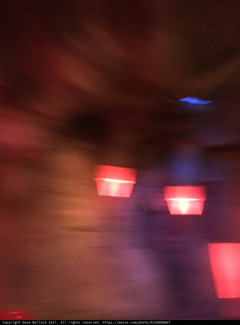 Lost in the Lights