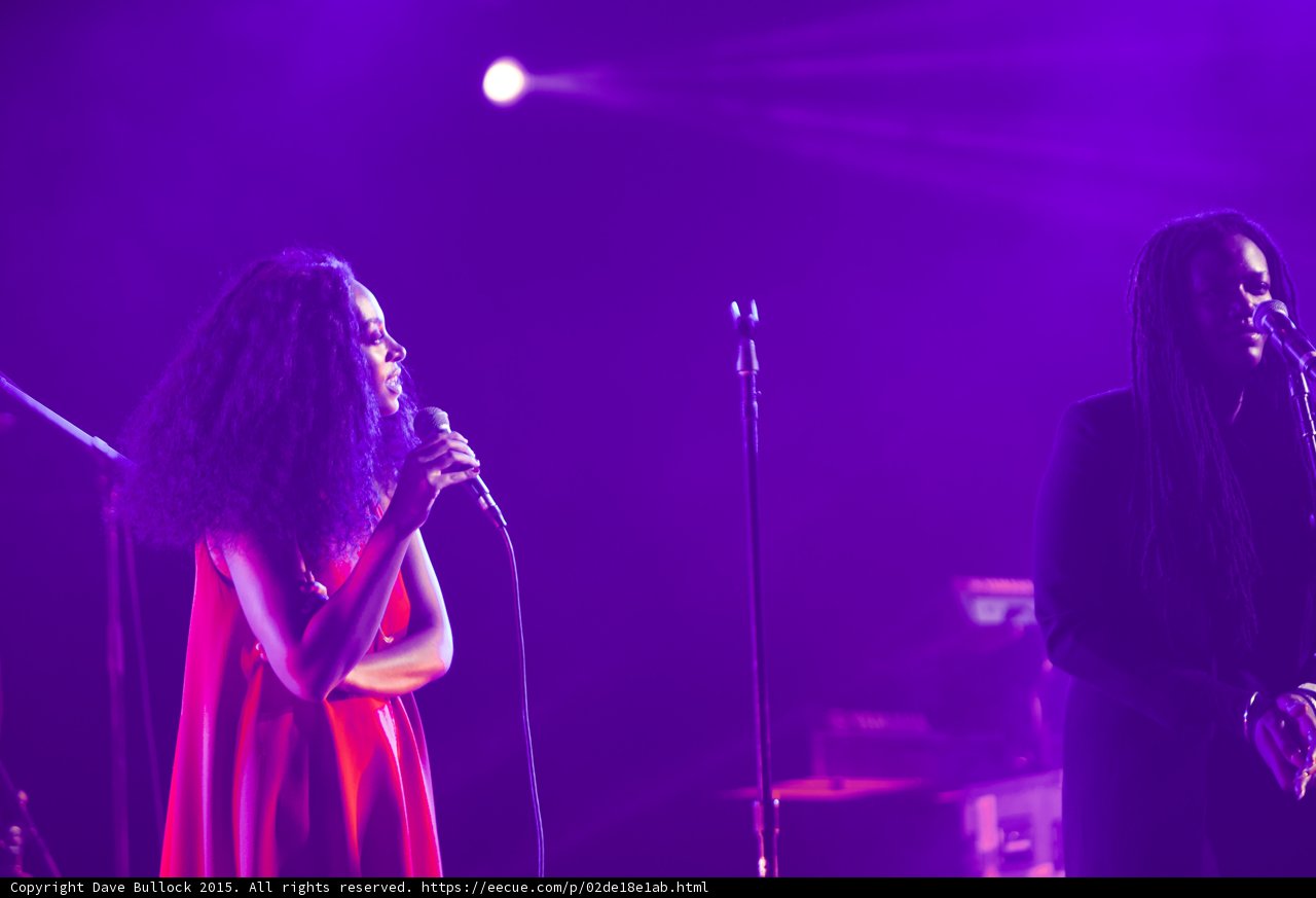Solange Profile Singing Red Dress Wild Hair Backing Vocalist Dreadlocks Purple