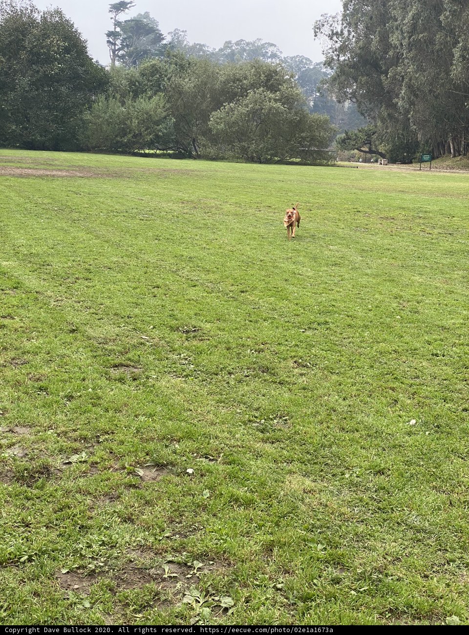 Running Free