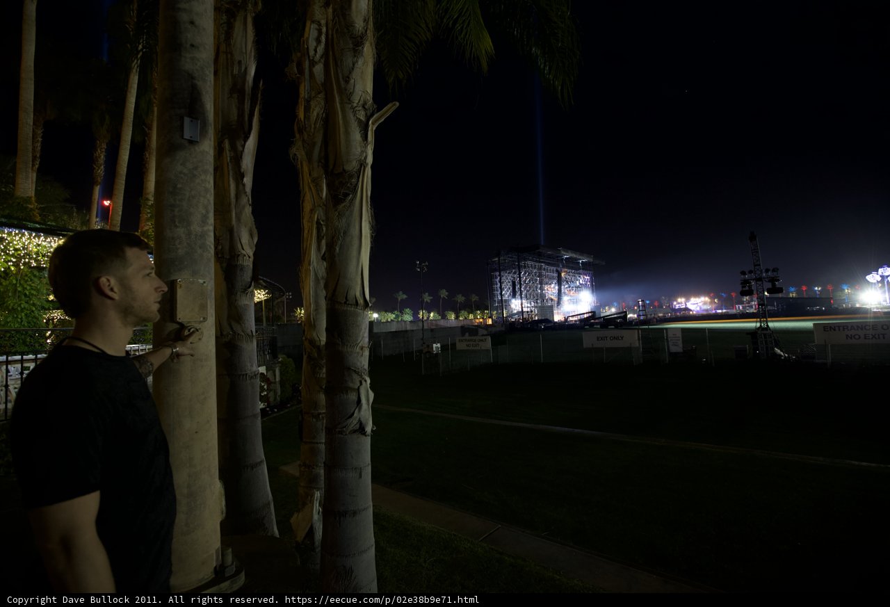 Nighttime Oasis