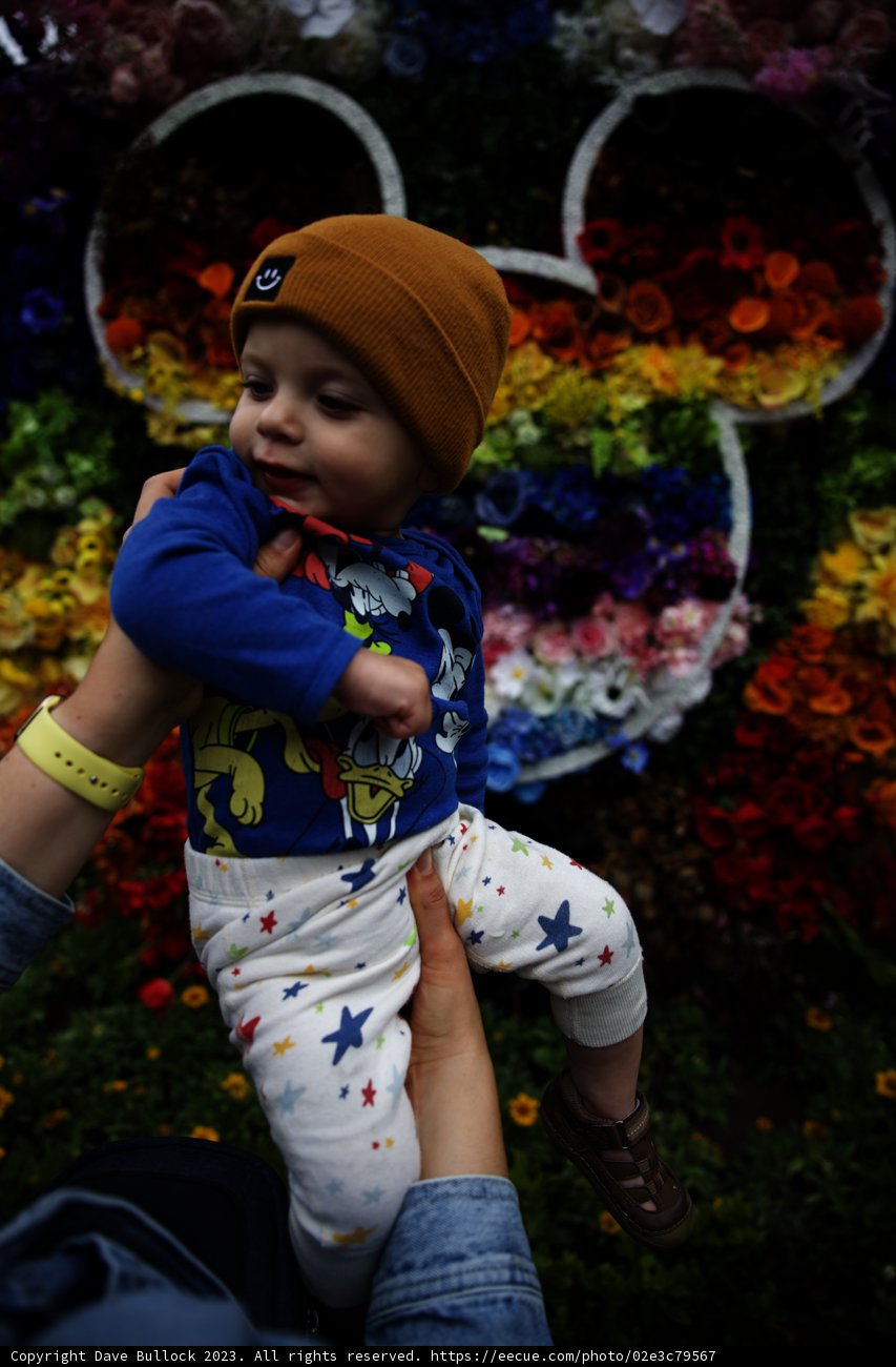 Magical Moments at Disneyland