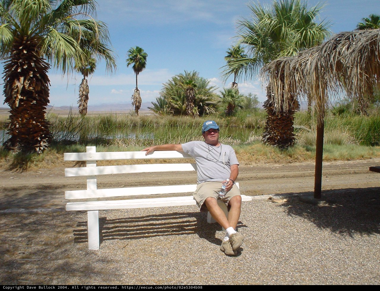 Desert Oasis Rest Stop with Palm Trees