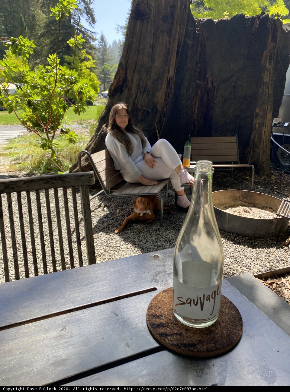Serene Moment in Guerneville