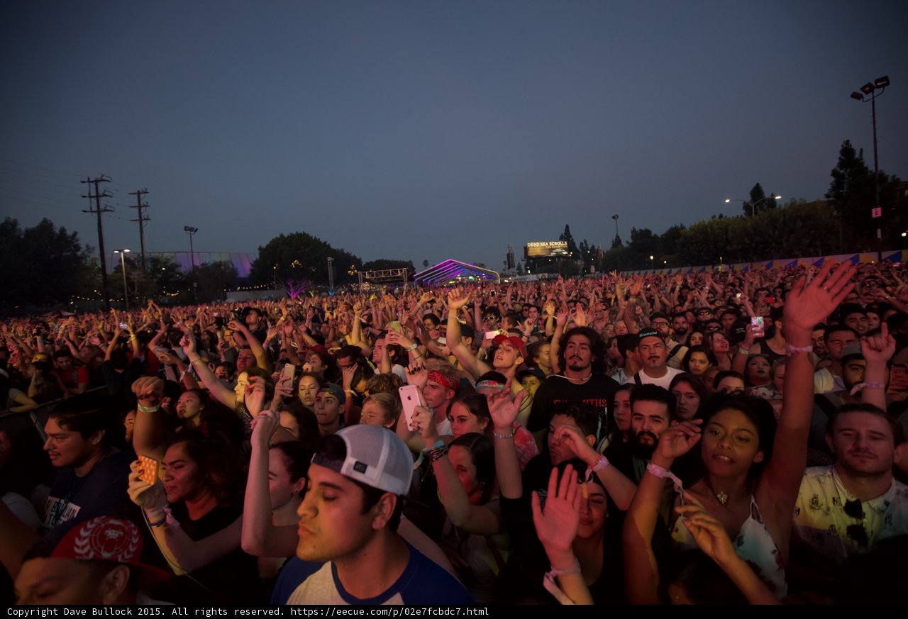 Wide Crowd Hands Raised Dusk
