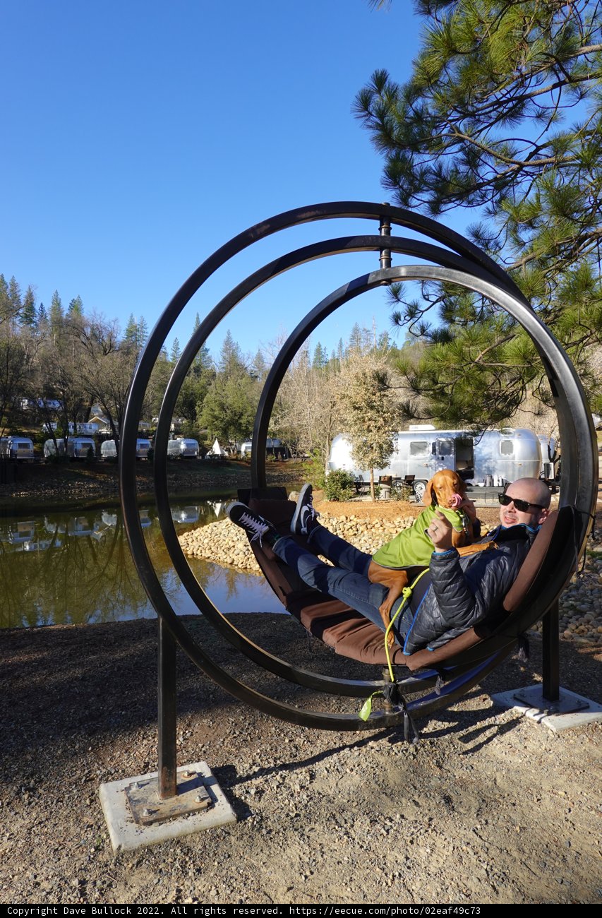 Relaxing in the Park
