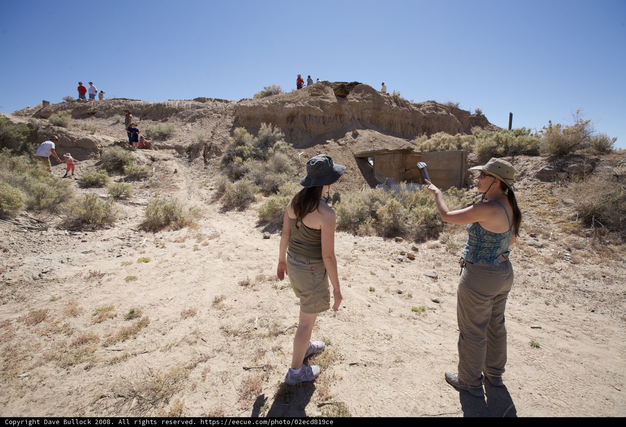 Desert Adventure