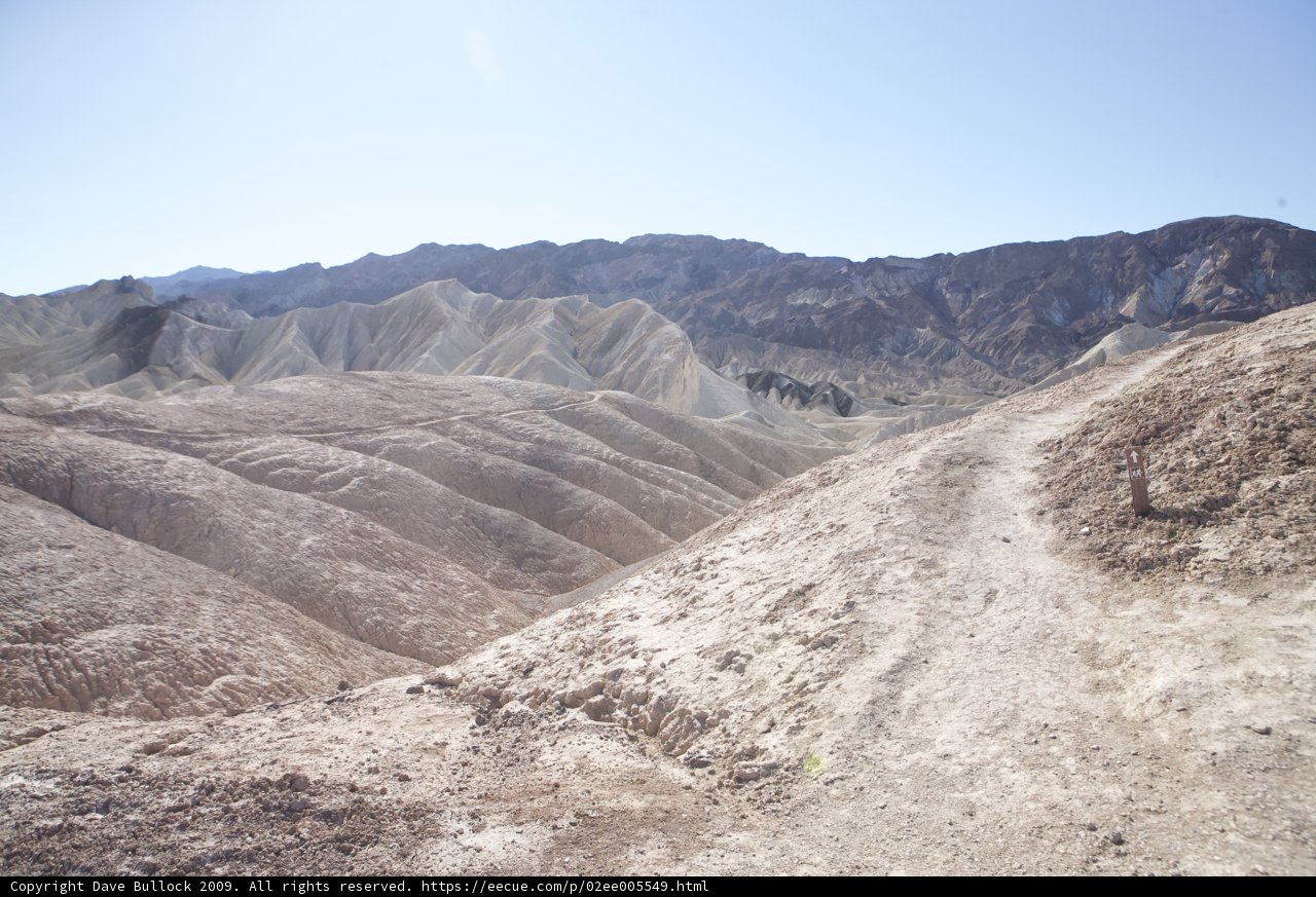 Driving through the Wilderness