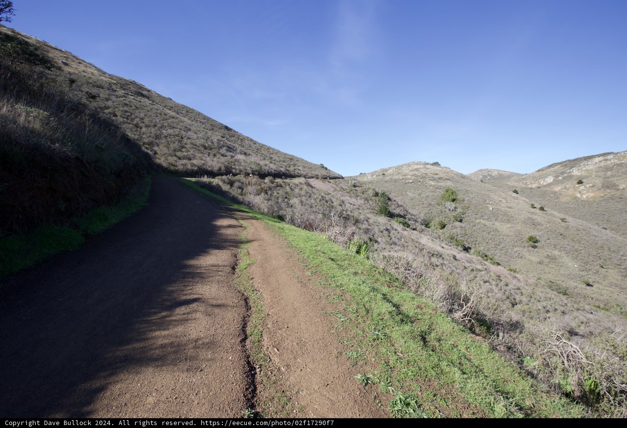 The Windy Path: Journey Through the Marin Headlands Hill 88